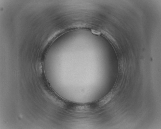 X0000074330160200609152106