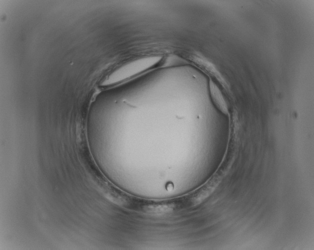 X0000074330161200609152106