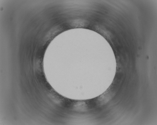 X0000074330162200609152106