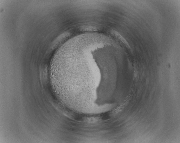 X0000074330163200609152106