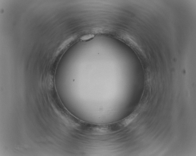 X0000074330164200609152106