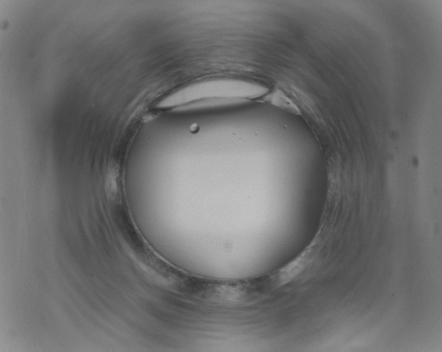 X0000074330166200609152106