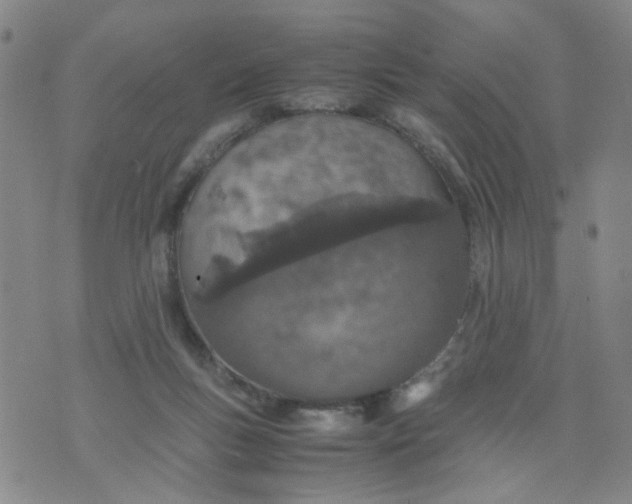 X0000074330167200609152106