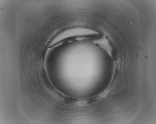 X0000074330168200609152106