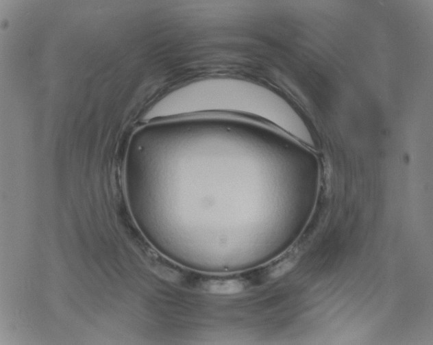 X0000074330169200609152106