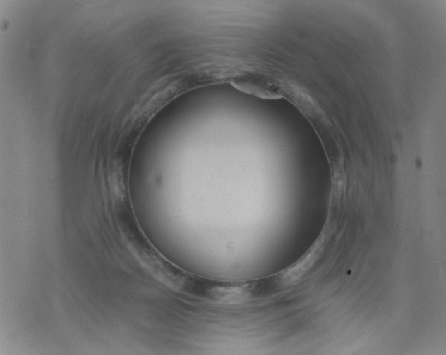 X0000074330170200609152106