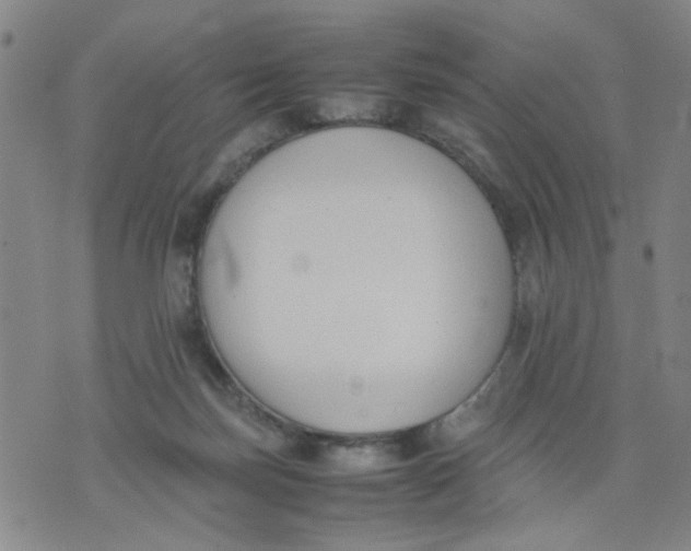 X0000074330171200609152106