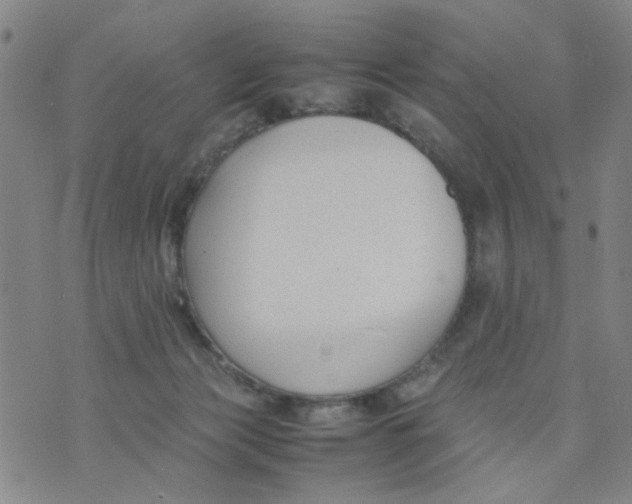 X0000074330173200609152106