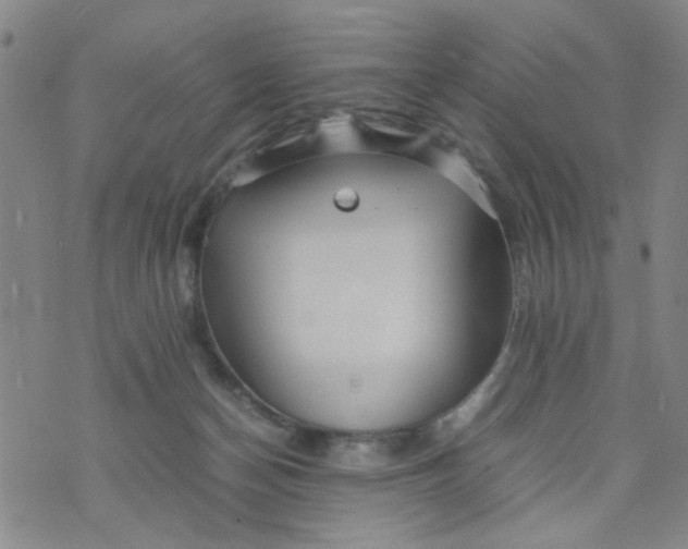 X0000074330174200609152106