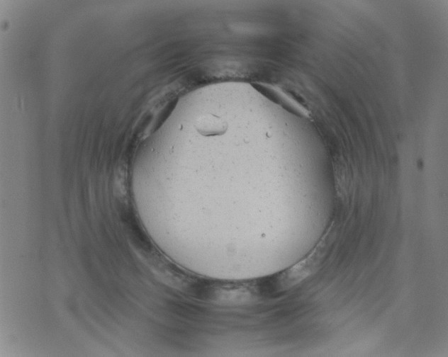 X0000074330175200609152106