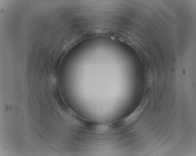 X0000074330176200609152106