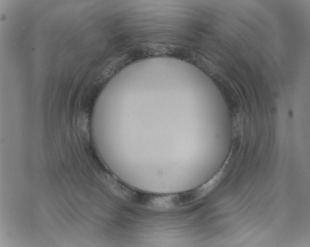 X0000074330178200609152106