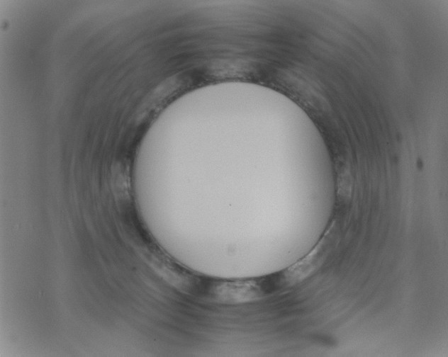 X0000074330179200609152106