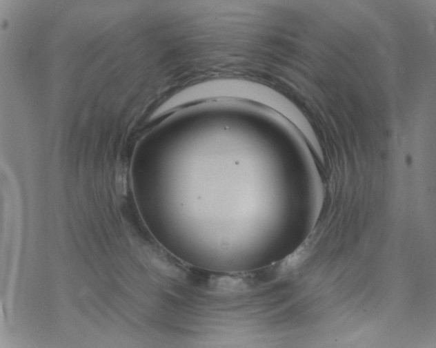 X0000074330180200609152106