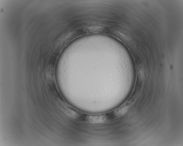 X0000074330181200609152106