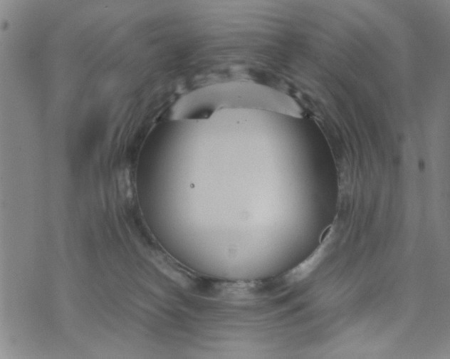 X0000074330182200609152106