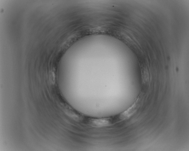 X0000074330183200609152106