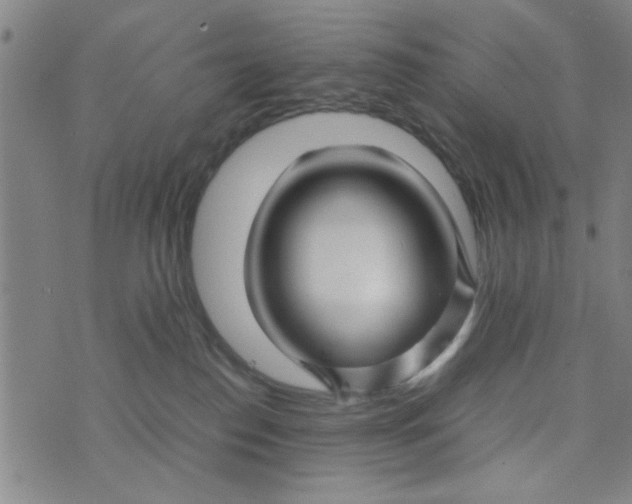 X0000074330186200609152106