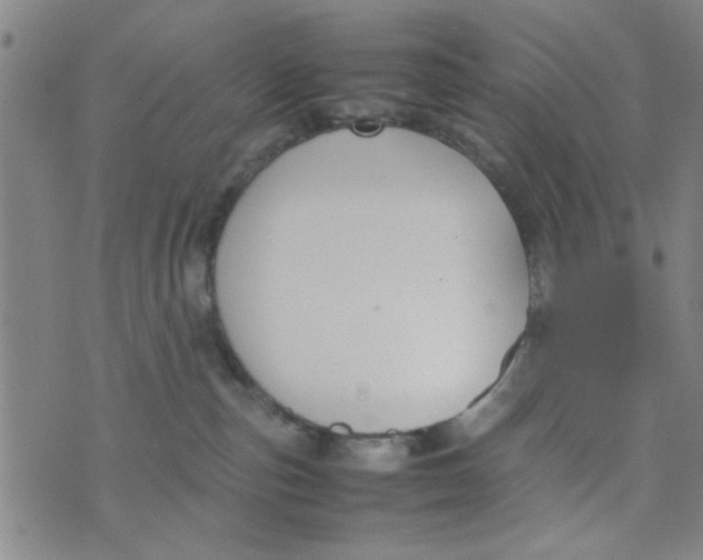 X0000074330187200609152106