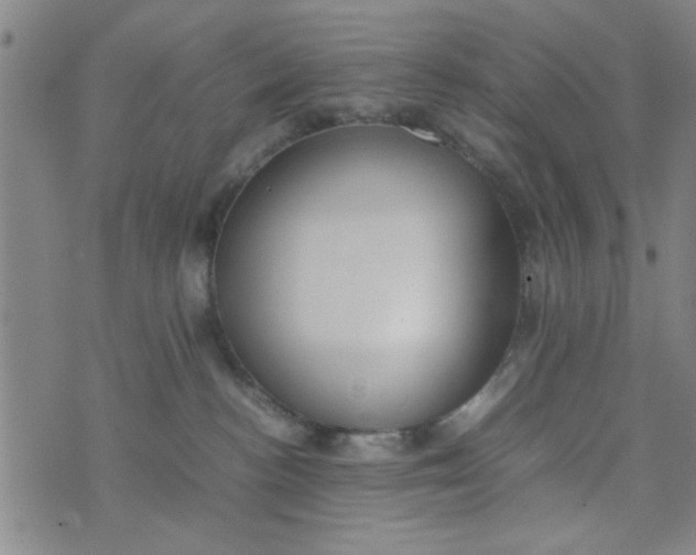 X0000074330188200609152106