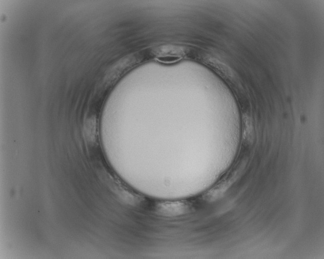 X0000074330189200609152106