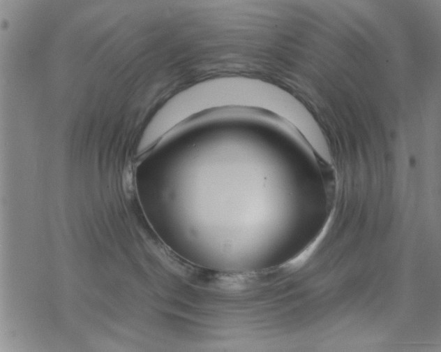 X0000074330190200609152106