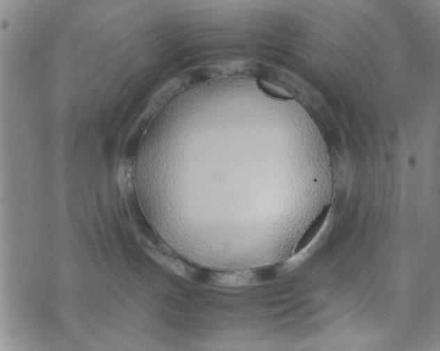 X0000074330191200609152106