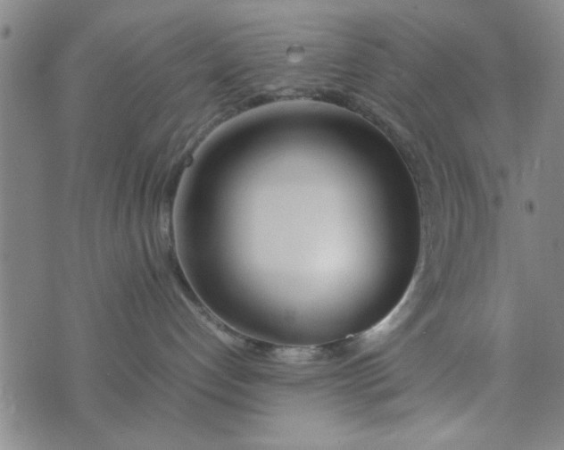 X0000074330192200609152106