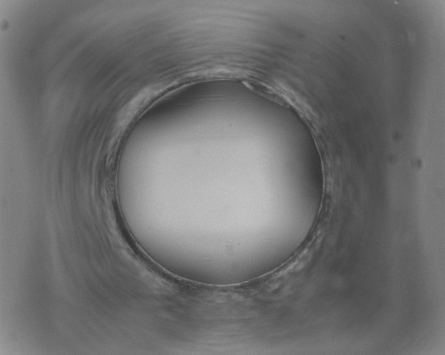 X0000074330193200609152105