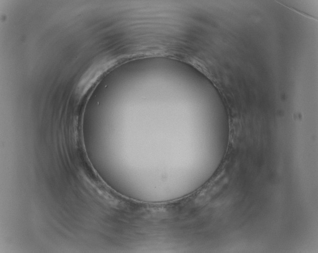 X0000074330194200609152105