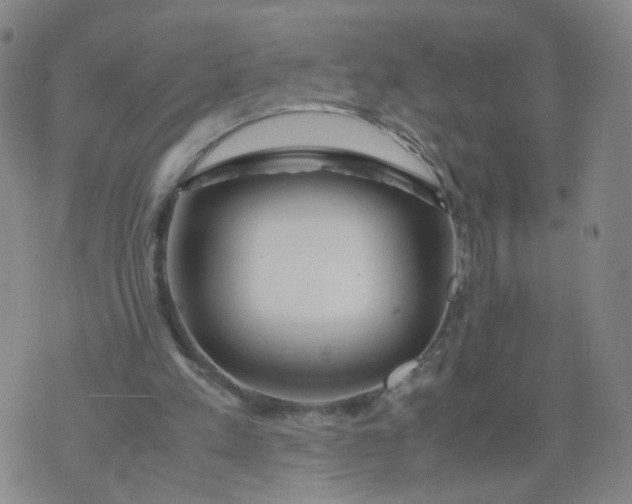 X0000074330197200609152105