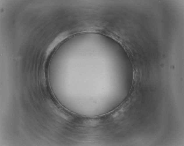 X0000074330198200609152105