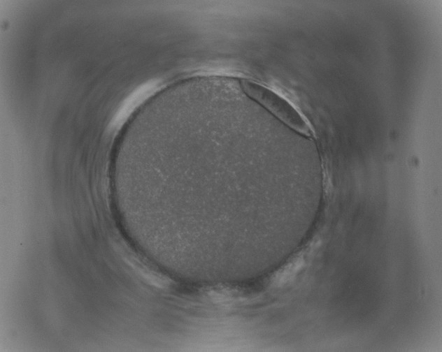 X0000074330199200609152105