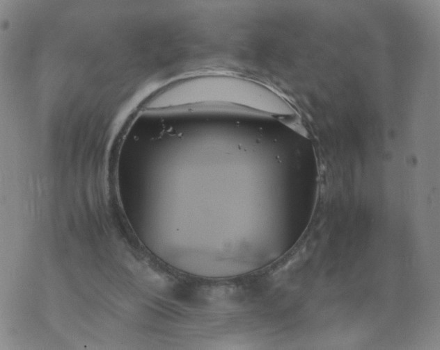 X0000074330200200609152105