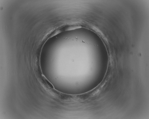 X0000074330201200609152105