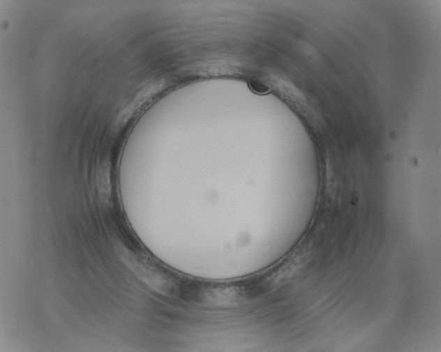 X0000074330202200609152105