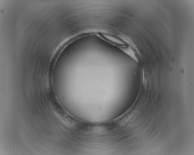 X0000074330204200609152105