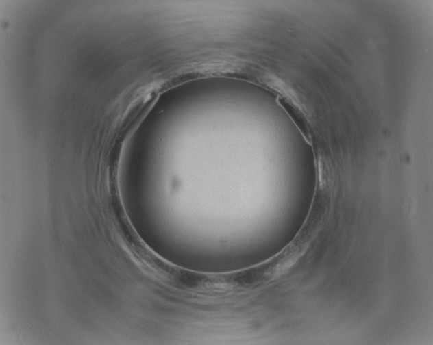 X0000074330205200609152105