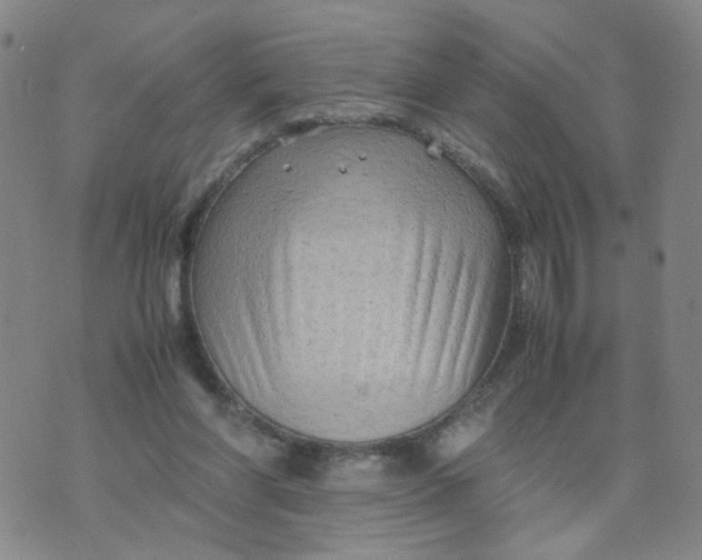 X0000074330206200609152105