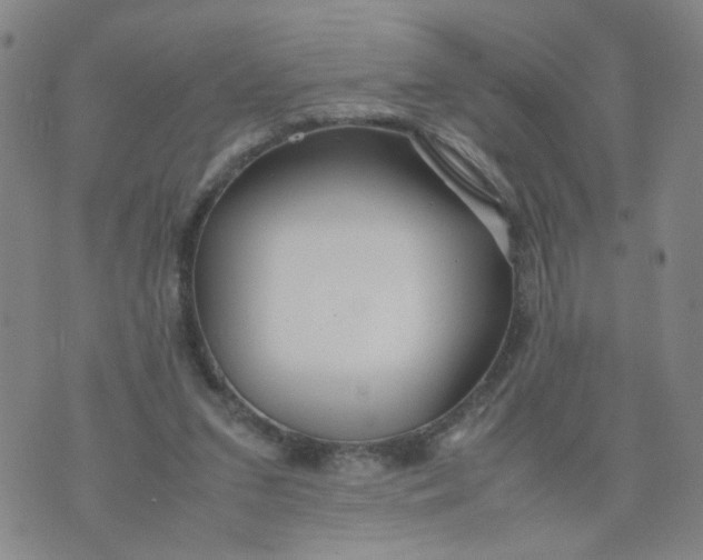 X0000074330207200609152105