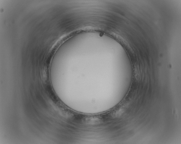 X0000074330208200609152105