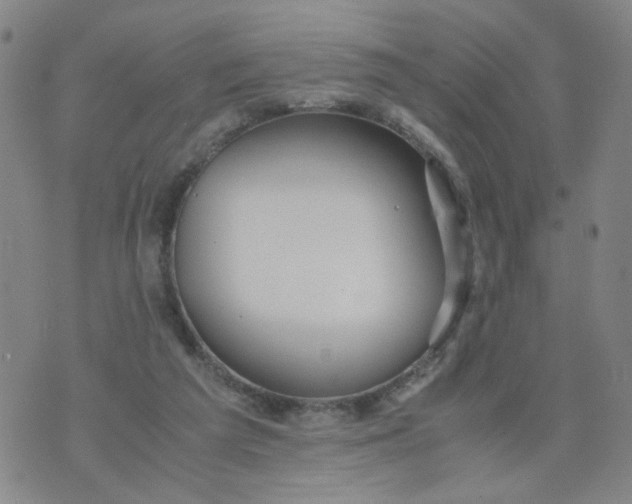 X0000074330209200609152105