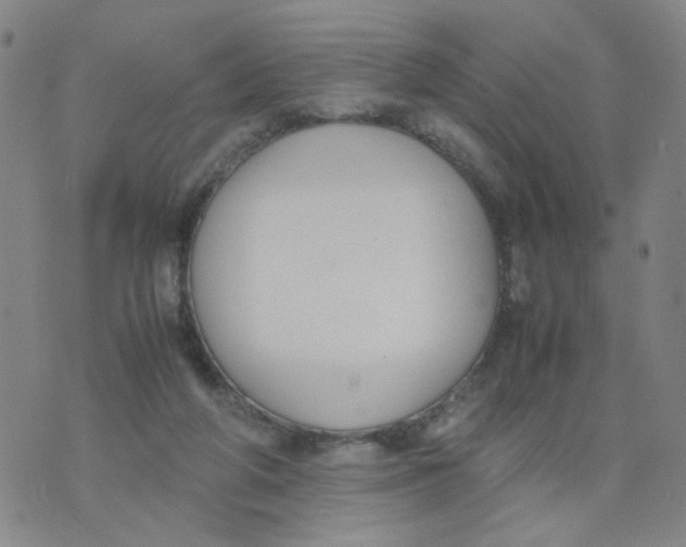 X0000074330210200609152105