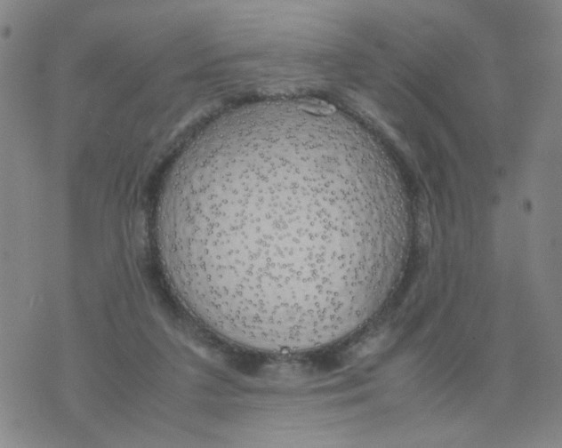 X0000074330211200609152105