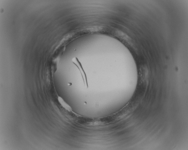 X0000074330212200609152105