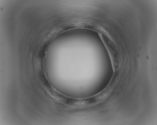 X0000074330213200609152105