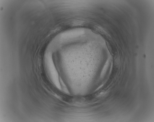 X0000074330215200609152105