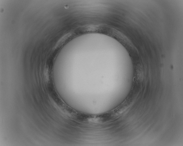 X0000074330216200609152105