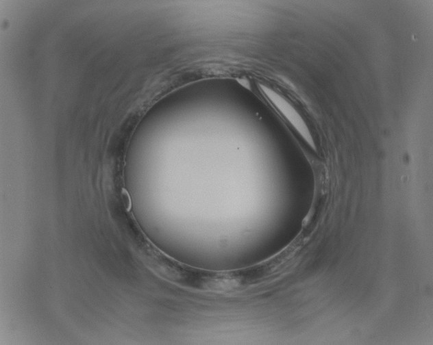 X0000074330217200609152105