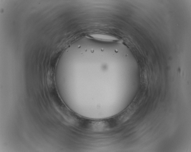 X0000074330218200609152105